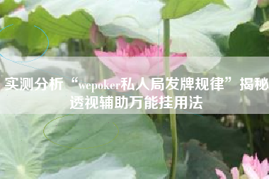 实测分析“wepoker私人局发牌规律”揭秘透视辅助万能挂用法