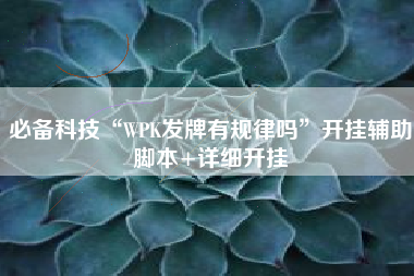 必备科技“WPK发牌有规律吗”开挂辅助脚本+详细开挂 必备科技“WPK发牌有规律吗”开挂辅助脚本+详细开挂