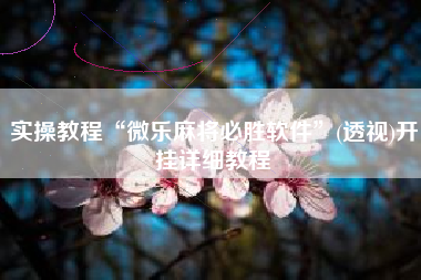 实操教程“微乐麻将必胜软件”(透视)开挂详细教程 实操教程“微乐麻将必胜软件”(透视)开挂详细教程