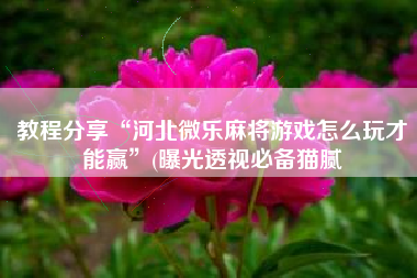 教程分享“河北微乐麻将游戏怎么玩才能赢	”(曝光透视必备猫腻