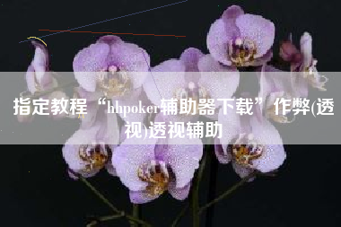 指定教程“hhpoker辅助器下载	”作弊(透视)透视辅助