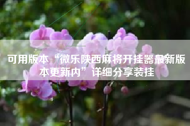 可用版本“微乐陕西麻将开挂器最新版本更新内	”详细分享装挂