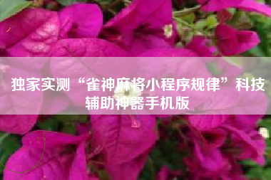 独家实测“雀神麻将小程序规律	”科技辅助神器手机版