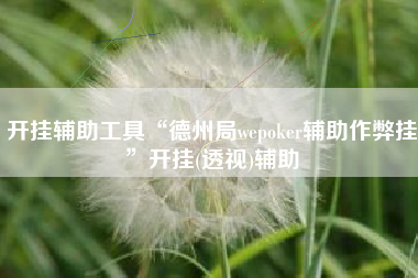 开挂辅助工具“德州局wepoker辅助作弊挂”开挂(透视)辅助