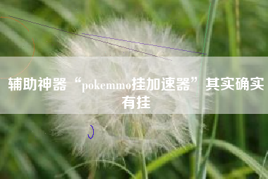 辅助神器“pokemmo挂加速器”其实确实有挂