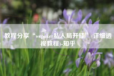 教程分享“wepoker私人局开挂”(详细透视教程)-知乎