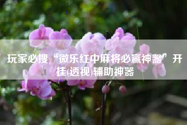 玩家必搜“微乐红中麻将必赢神器”开挂(透视)辅助神器