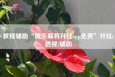 教程辅助“微乐麻将开挂app免费	”开挂(透视)辅助