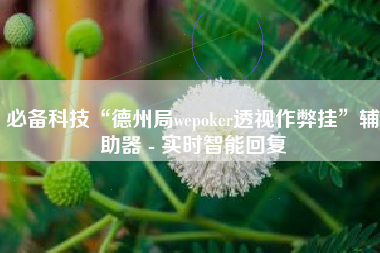 必备科技“德州局wepoker透视作弊挂”辅助器 - 实时智能回复