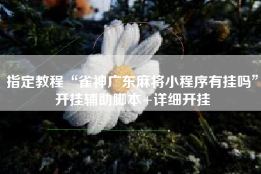 指定教程“雀神广东麻将小程序有挂吗	”开挂辅助脚本+详细开挂