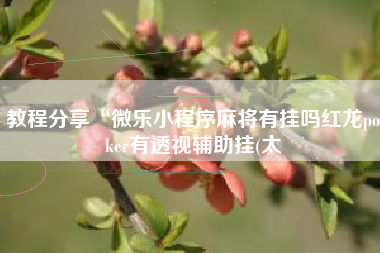 教程分享“微乐小程序麻将有挂吗红龙poker有透视辅助挂(太