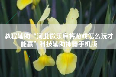 教程辅助“河北微乐麻将游戏怎么玩才能赢	”科技辅助神器手机版