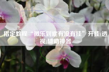 指定教程“微乐到底有没有挂”开挂(透视)辅助神器