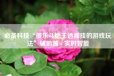 必备科技“微乐斗地主透视挂的游戏玩法	”辅助器 - 实时智能