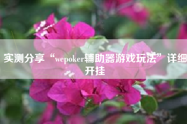实测分享“wepoker辅助器游戏玩法”详细开挂