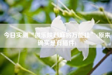 今日实测“微乐陕西麻将万能挂”(原来确实是有插件)