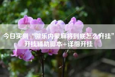 今日实测“微乐内蒙麻将到底怎么开挂”开挂辅助脚本+详细开挂