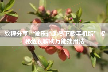 教程分享“微乐辅助器下载手机版”揭秘透视辅助万能挂用法 教程分享“微乐辅助器下载手机版”揭秘透视辅助万能挂用法