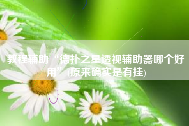教程辅助“德扑之星透视辅助器哪个好用”(原来确实是有挂)