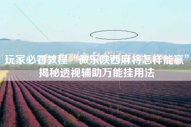 玩家必看教程“微乐陕西麻将怎样能赢	”揭秘透视辅助万能挂用法