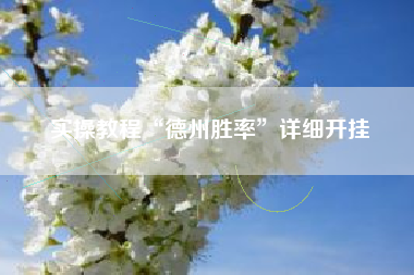 实操教程“德州胜率”详细开挂