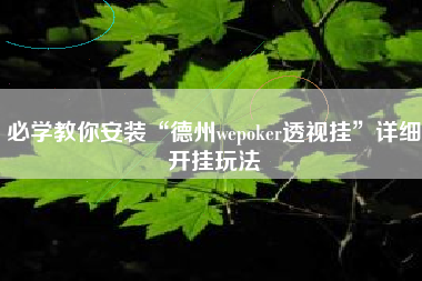 必学教你安装“德州wepoker透视挂”详细开挂玩法