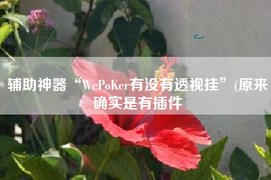 辅助神器“WePoKer有没有透视挂	”(原来确实是有插件