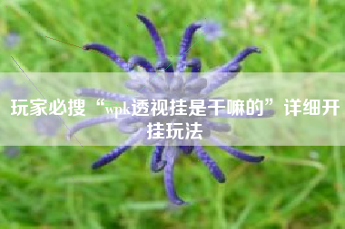 玩家必搜“wpk透视挂是干嘛的”详细开挂玩法