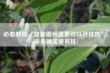 必看教程“智星德州菠萝可以开挂吗”(原来确实是有挂)