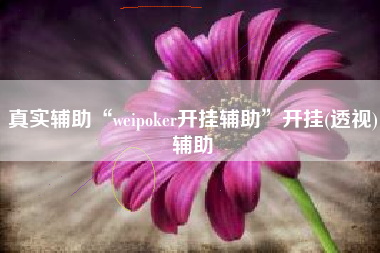 真实辅助“weipoker开挂辅助”开挂(透视)辅助