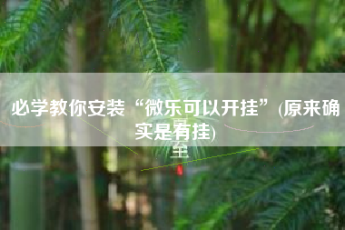 必学教你安装“微乐可以开挂”(原来确实是有挂)