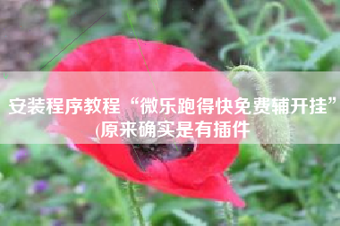 安装程序教程“微乐跑得快免费辅开挂	”(原来确实是有插件