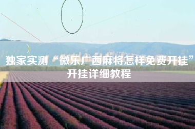 独家实测“微乐广西麻将怎样免费开挂”开挂详细教程