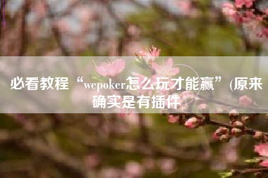 必看教程“wepoker怎么玩才能赢”(原来确实是有插件