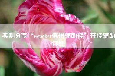 实测分享“wepoker德州辅助挂”开挂辅助详细