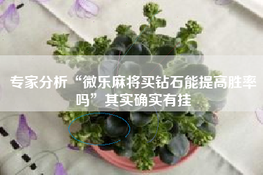专家分析“微乐麻将买钻石能提高胜率吗”其实确实有挂
