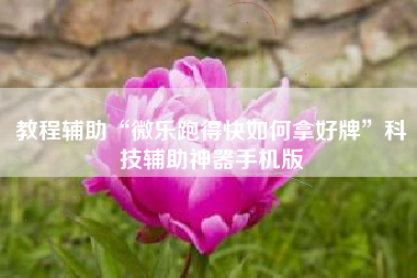 教程辅助“微乐跑得快如何拿好牌”科技辅助神器手机版