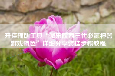 开挂辅助工具“微乐陕西三代必赢神器游戏特色”详细分享装挂步骤教程