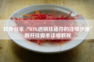 软件分享“WPK透明挂插件的详细步骤”附开挂脚本详细教程