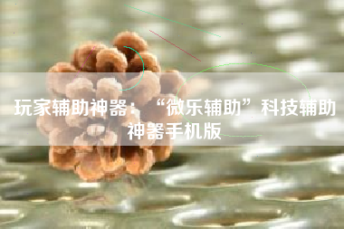 玩家辅助神器：“微乐辅助	”科技辅助神器手机版