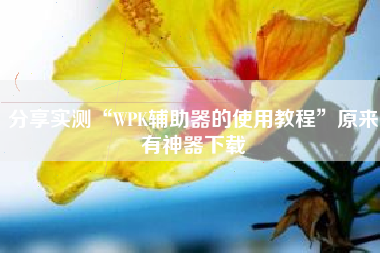 分享实测“WPK辅助器的使用教程”原来有神器下载