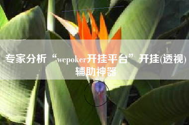 专家分析“wepoker开挂平台”开挂(透视)辅助神器