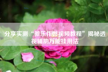 分享实测“微乐作弊视频教程”揭秘透视辅助万能挂用法