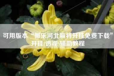 可用版本“微乐河北麻将开挂免费下载”开挂(透视)辅助教程