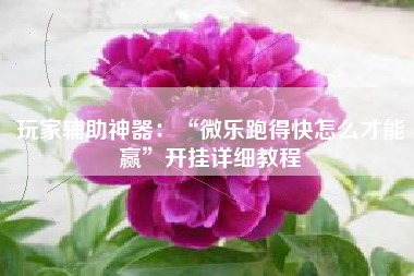 玩家辅助神器：“微乐跑得快怎么才能赢	”开挂详细教程