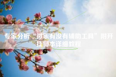 专家分析“微乐有没有辅助工具”附开挂脚本详细教程