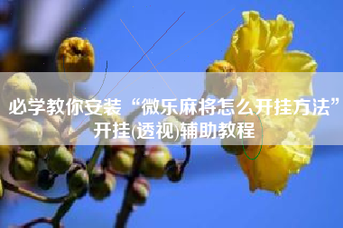 必学教你安装“微乐麻将怎么开挂方法”开挂(透视)辅助教程