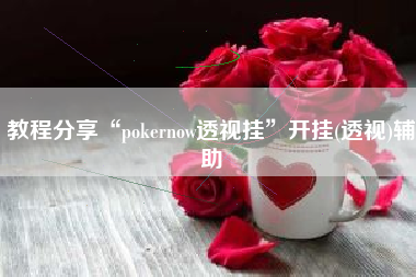 教程分享“pokernow透视挂”开挂(透视)辅助
