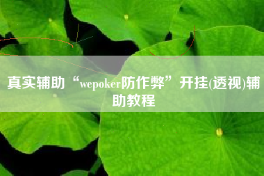 真实辅助“wepoker防作弊”开挂(透视)辅助教程