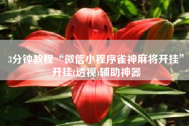 3分钟教程“微信小程序雀神麻将开挂”开挂(透视)辅助神器